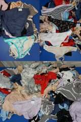 451pc Womens Panties INTERNATIONAL CONCEPTS Jenni CHARTER - MOST BIG SIZES